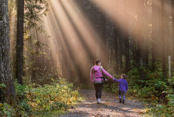 People walking through woods