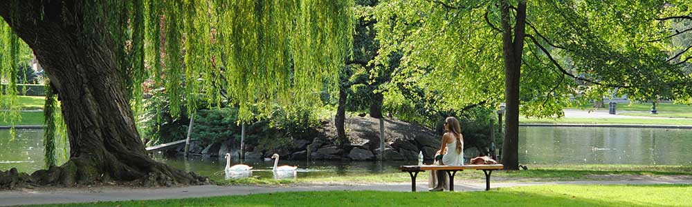 An urban park