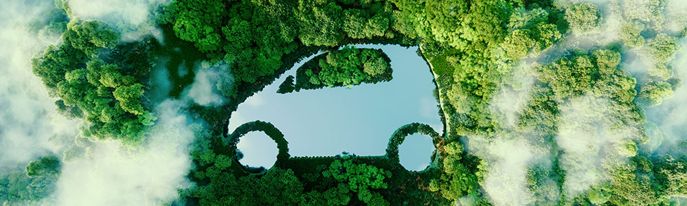 Car shaped lake in forest seen from above aerial view