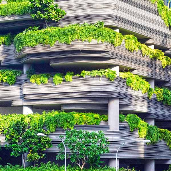 How urban greening can help cool down cities Zixty