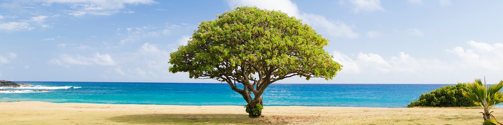 Green Car Insurance: Sustainable Protection for a Better Future